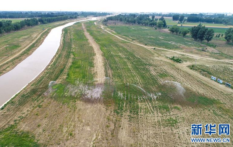 6月17日，喷灌设备在为牧草浇水（无人机照片）。新华社记者 李晓果 摄