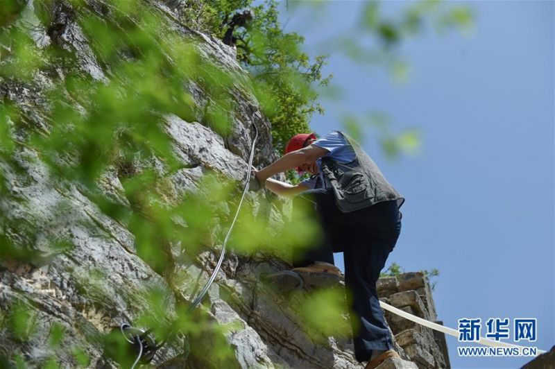 程永茂在前往修缮作业面途中攀爬箭扣长城(6月3日摄)。新华社发(陈钟昊摄)