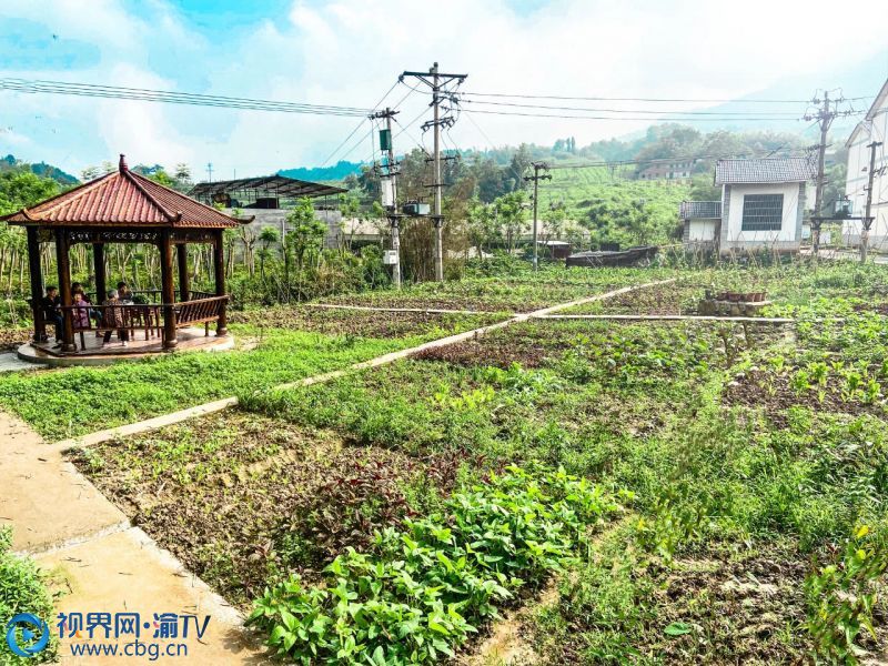 在重慶綦江區(qū)永新鎮(zhèn)三溪村，一條條小路蜿蜒在錯(cuò)落有致的房屋之中，明亮潔凈，閑適安靜且蘊(yùn)含著樸素的氣息。梔子花開(kāi)，芬芳自來(lái)；涓涓細(xì)流，叮咚作響；蟲(chóng)吟杳杳，鳥(niǎo)語(yǔ)鳴奏。近年來(lái)，三溪村通過(guò)“排列組合”解開(kāi)了美麗鄉(xiāng)村的“幸福密碼”，并按下了“一鍵蝶變”，讓各種自然元素相互碰撞，綻放色彩，渲染出一幅幅生動(dòng)的田園畫(huà)卷。