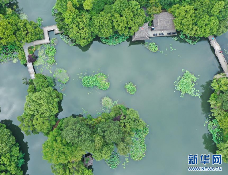 5月27日，游人在西湖曲院风荷景区游览（无人机照片）。 随着气温升高，杭州西湖绿意葱茏，展现出柔美的湖光山色。 新华社记者翁忻旸摄