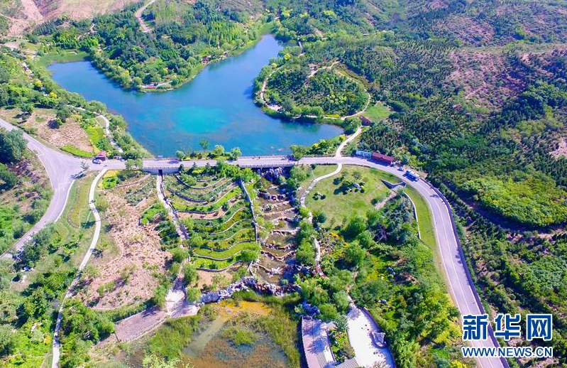 微信截图_20200615080717