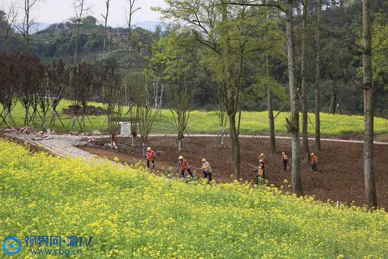 3月17日，園林綠化工人在北碚區(qū)磨灘濕地公園平整土地，準(zhǔn)備栽植草皮。