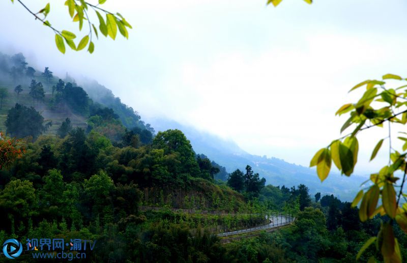 連續(xù)幾日春雨，重慶市榮昌區(qū)最高峰——古佛山上，山野寂靜，雨霧升騰，縹緲如仙境一般。張成杰 攝