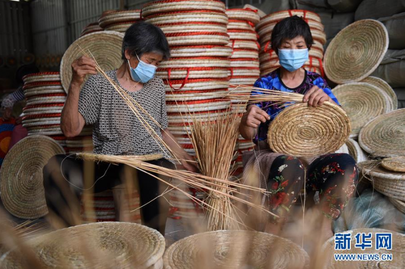 6月2日,山东省临沂市郯城县马头镇马二村农民在用小麦秸秆编制工艺品。 麦收时节,山东省临沂市郯城县农民把收获的小麦等秸秆晾晒消毒后编制成精美的工艺品,既避免了秸秆焚烧造成的环境污染,又可增加收入。 近年来,当地政府因势利导,协调资金扶持创办多家草编合作社,通过网商、直播带货等渠道推销秸秆工艺品。目前,全县已注册成立秸秆工艺品公司、合作社70余家,年编织销售草编工艺品100多万件(套),带动当地10多个专业村上万名农民从事秸秆工艺品编织,助农民增收致富。 新华社发(房德华 摄)