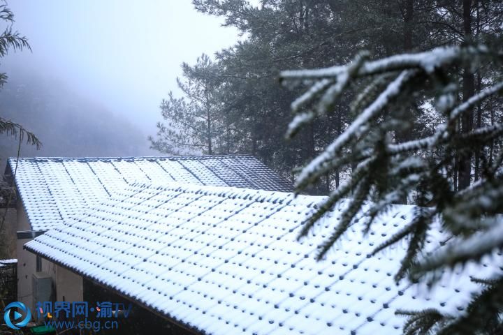 屋頂與樹梢堆滿了積雪。