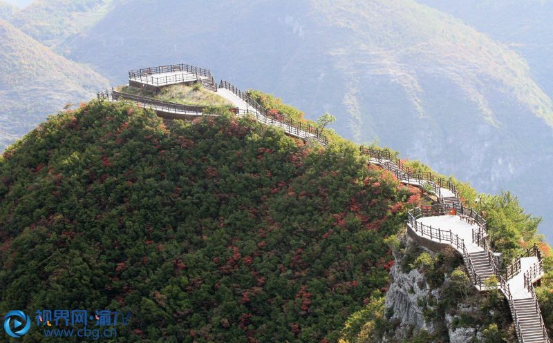 三峽紅葉點(diǎn)綴巫山神女峰景區(qū)觀景平臺(tái)。