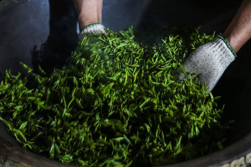 杀青，绿茶制作的第一道工序，是使茶叶的内含物转化为各类制茶特有品质的基础工艺。
