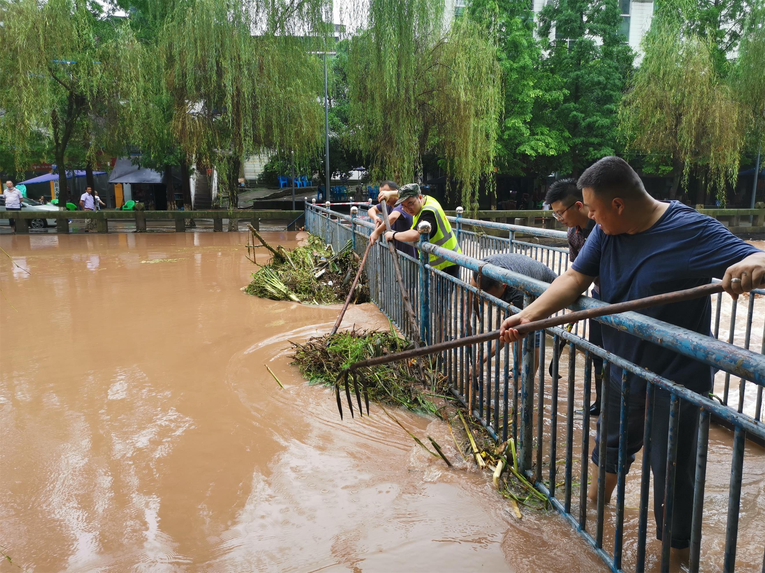 昌元街道党员干部清除洪水冲积的杂草.jpg