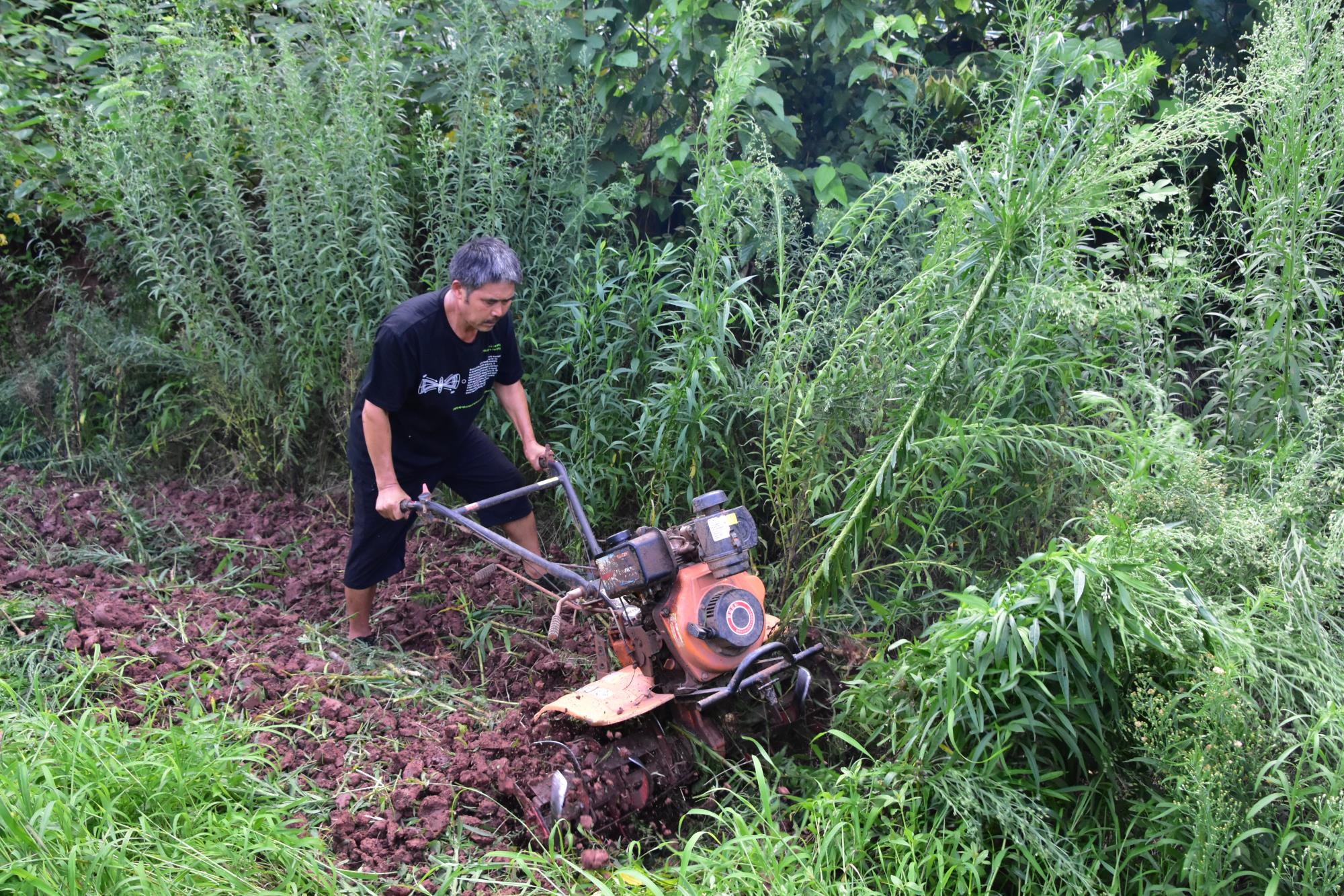 五旬庄稼汉发明除草神器