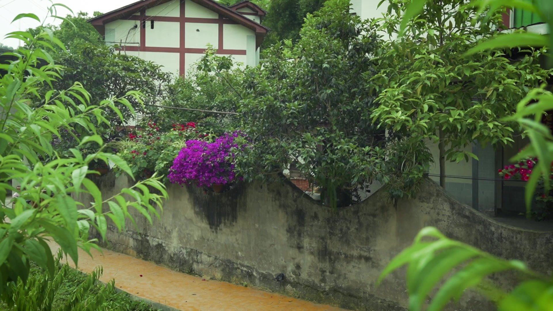 重庆北碚：美丽三溪 花园瓦房