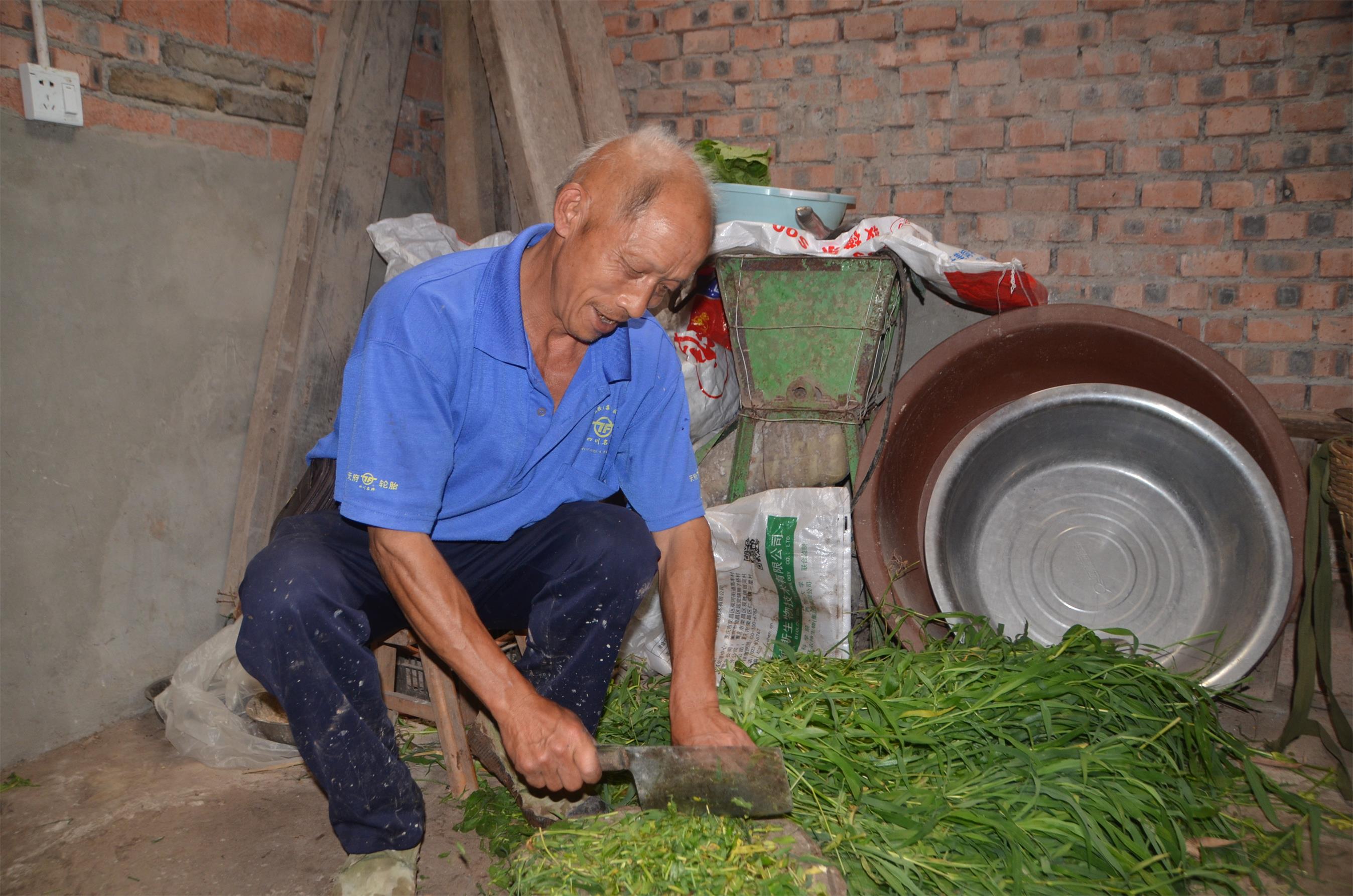 1597225805239045102.jpg 准备猪食.jpg