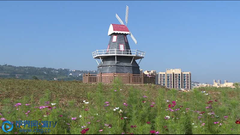 白岩寨公园建成百亩花海美景初现