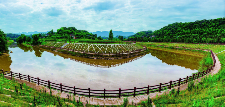 回龙坝镇:义务护水 暗访督查 代表履职加码 乡村"颜值"升级