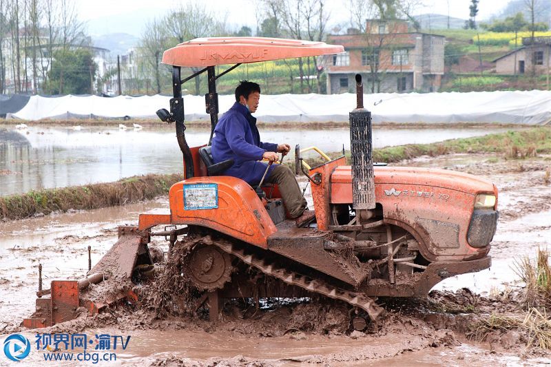 QQ图片20200311095403