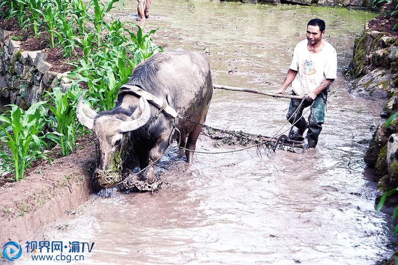 钟永华:脱贫拒绝等靠要 勤劳创造新生活