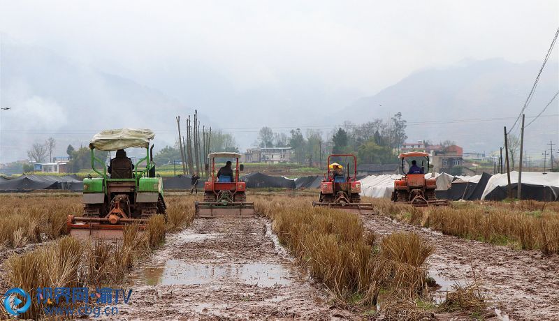 QQ图片20200311095358