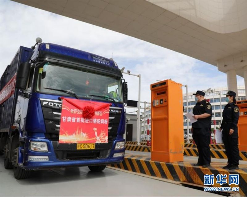 　　6月12日，7000罐共3.5吨骆驼奶粉运抵甘肃省兰州新区综合保税区。新华社发（兰州新区商投集团供图）