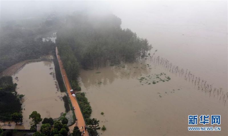 这是7月10日拍摄的东至县香隅镇丰收圩段（无人机照片）。 安徽省东至县位于长江岸边，拥有85公里长江岸线。近日，长江水位持续上涨，东至县香隅镇丰收圩段出现江水漫溢。为保障群众安全和防汛抢险道路畅通，香隅镇组织对丰收圩段抢筑子埂150米，并安排工作人员开展检查巡护，时刻监测水情。 新华社记者 周牧 摄