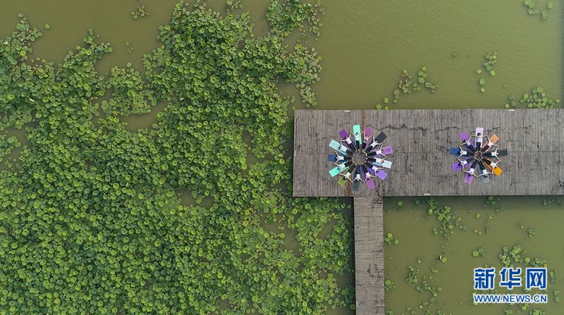 瑜伽爱好者们在运河湿地公园和双龙湖湿地内举行瑜珈展示活动。新华网发（高启民 孔闯 摄）
