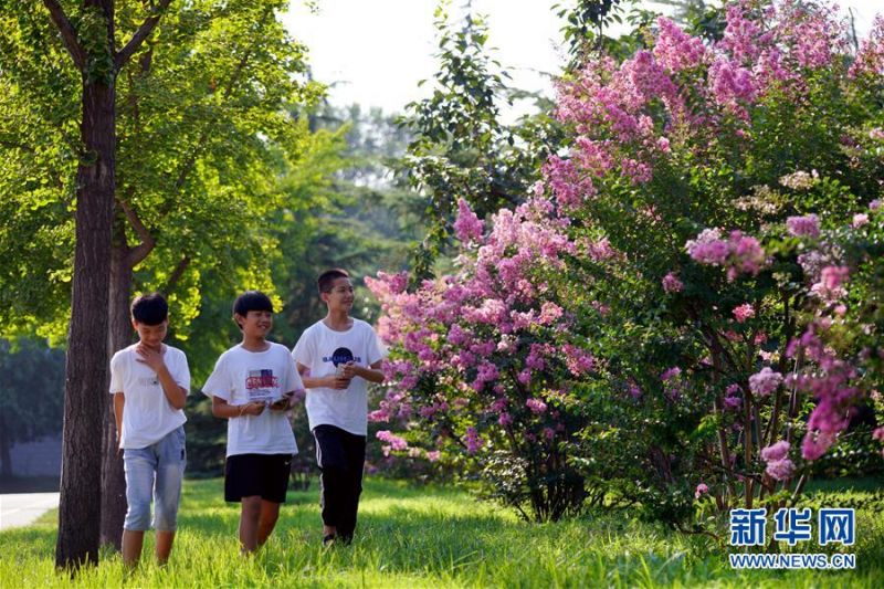 7月26日，小朋友在栾卸村内行走。 盛夏，位于太行山区的河北省沙河市栾卸村满目葱茏，山水、田园、民居构成一幅美丽乡村图景。 新华社记者 牟宇 摄