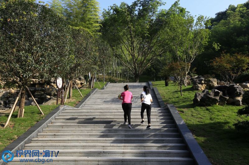 市民走进北碚雨台山公园，感受绿意，亲近自然。（摄影：秦廷富）