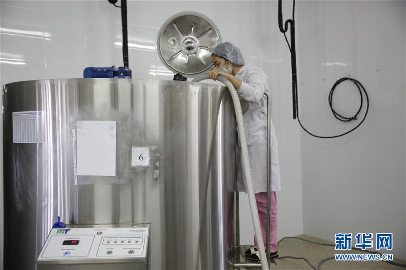 　　6月11日，哈萨克斯坦卡拉干达州一家乳品厂的工作人员在加工奶粉。新华社发（奥斯潘诺夫摄）