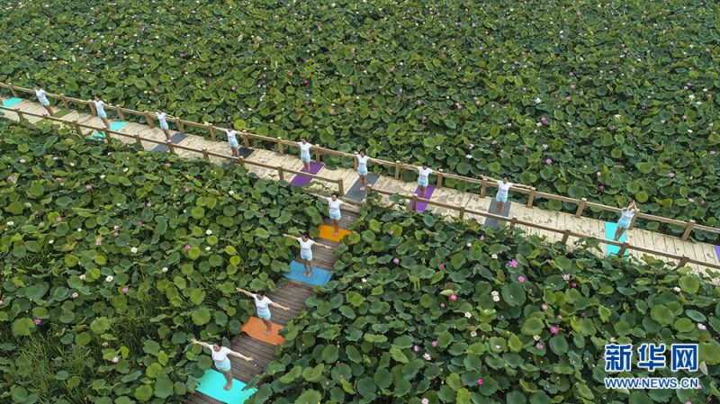 瑜伽爱好者们在运河湿地公园和双龙湖湿地内举行瑜珈展示活动。新华网发（高启民 孔闯 摄）