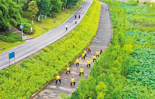   7月6日，開州市民在荷香陣陣的漢豐湖濕地公園進(jìn)行晨練。從2011年開始，開州區(qū)對漢豐湖、澎溪河開州段流域?qū)嵤皾竦厣鷳B(tài)、濱湖景觀、庫岸生態(tài)、濕地基塘”等系列工程建設(shè)，不僅修復(fù)了消落帶生態(tài)，還讓城市披上“綠外衣”，形成了獨(dú)具濱湖特色的濕地之城、生態(tài)之地、宜居之都，切實(shí)增強(qiáng)了市民的獲得感和幸福感。通訊員 葉娟 攝/視覺重慶