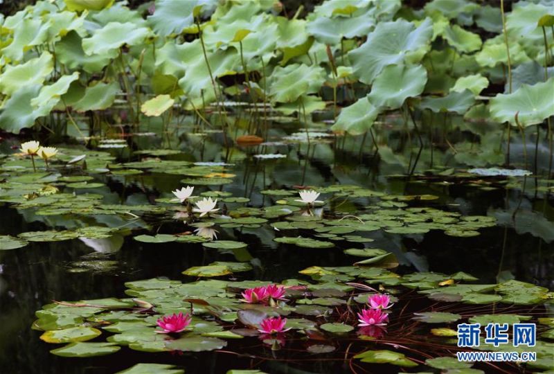 1126255825_15950790855791n