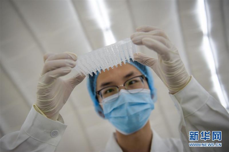 7月1日，在扩增实验室内，实验人员检查核酸反应板。 新华社记者 彭子洋 摄