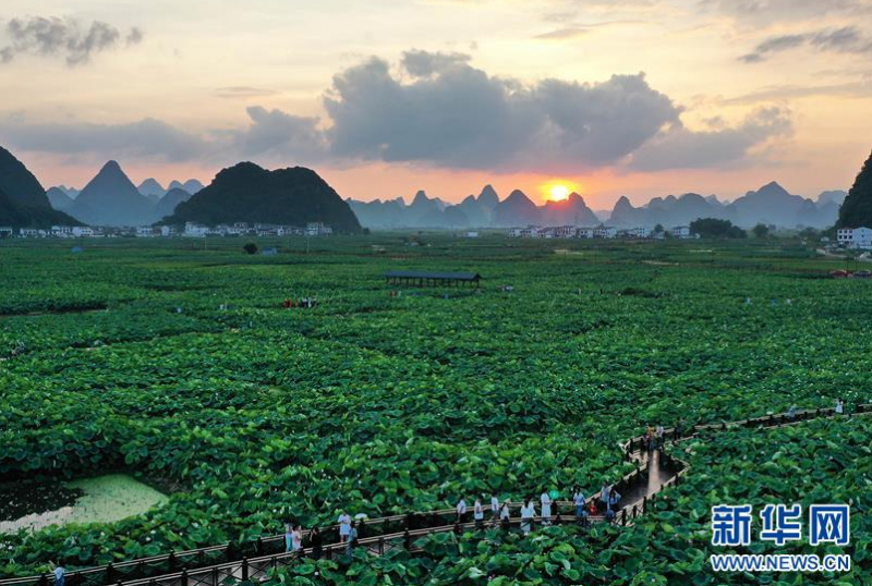 微信截图_20200630094744