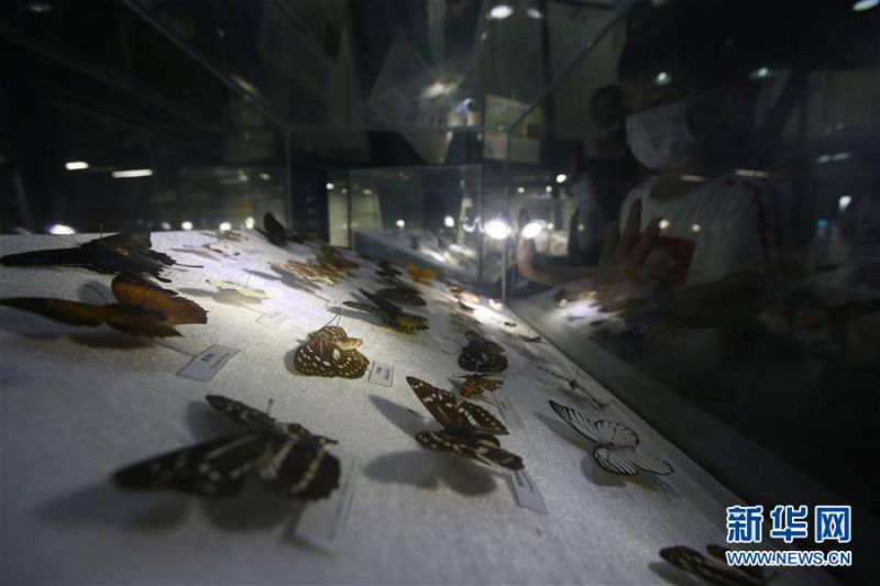 1126255770_15950780874031n