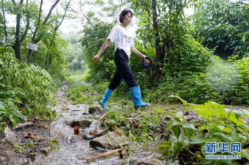 7月1日，在重庆永川区，地灾监测员侯芳走在崎岖的山道上。新华社记者 刘潺 摄