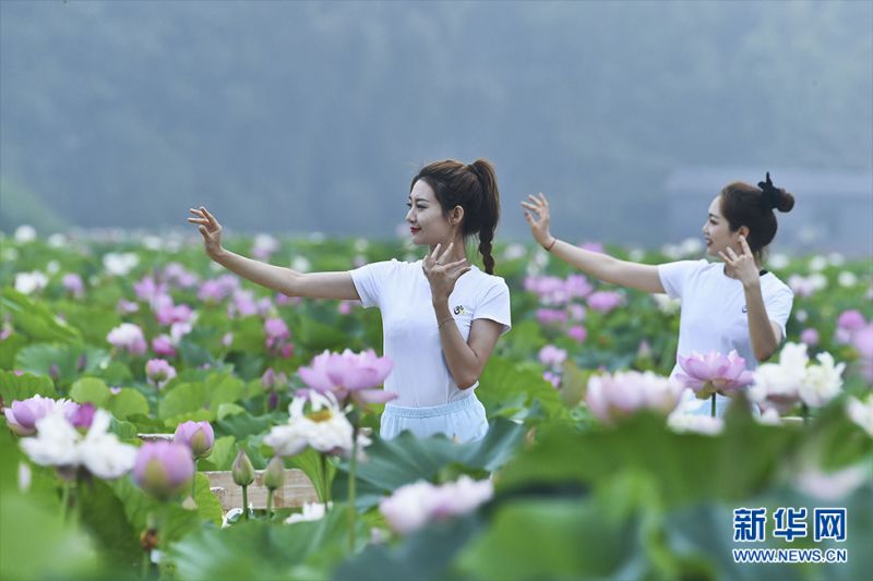 瑜伽爱好者们在运河湿地公园和双龙湖湿地内举行瑜珈展示活动。新华网发（高启民 孔闯 摄）