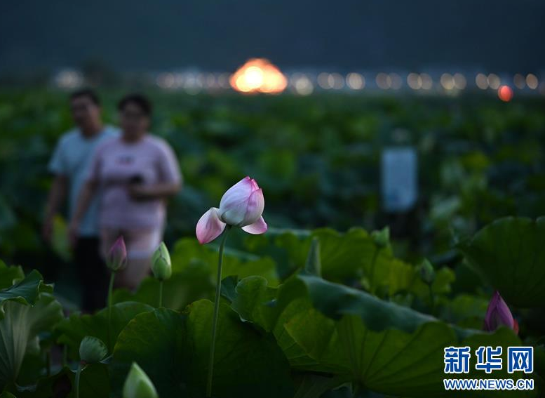 微信截图_20200630094831