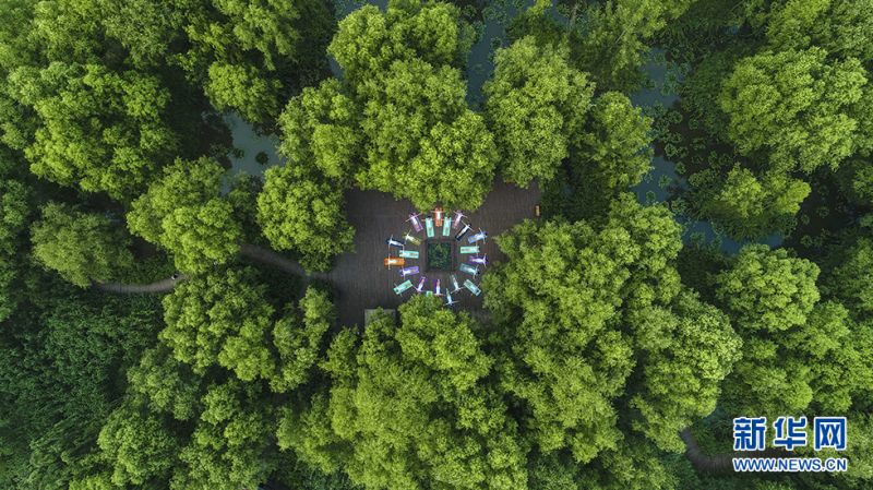 瑜伽爱好者们在运河湿地公园和双龙湖湿地内举行瑜珈展示活动。新华网发（高启民 孔闯 摄）