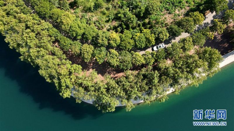 7月26日，汽车行驶在栾卸村的树林里（无人机照片）。 盛夏，位于太行山区的河北省沙河市栾卸村满目葱茏，山水、田园、民居构成一幅美丽乡村图景。 新华社记者 牟宇 摄