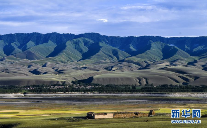 这是6月29日拍摄的位于新疆特克斯县境内的喀拉托海湖沿岸风光。 时值夏日，位于天山脚下的新疆特克斯县境内的喀拉托海湖风光宜人，景色优美。 新华社记者 王菲 摄