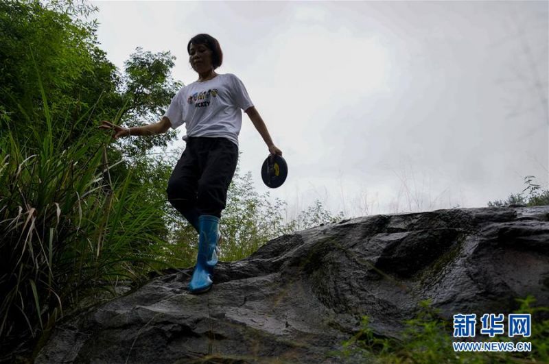 　7月1日，在重庆永川区，地灾监测员侯芳走在崎岖的山道上，进行巡查监测工作。新华社记者 刘潺 摄