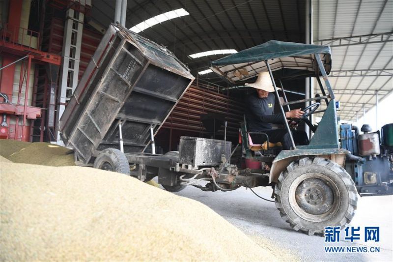 1126253353_15949979034641n