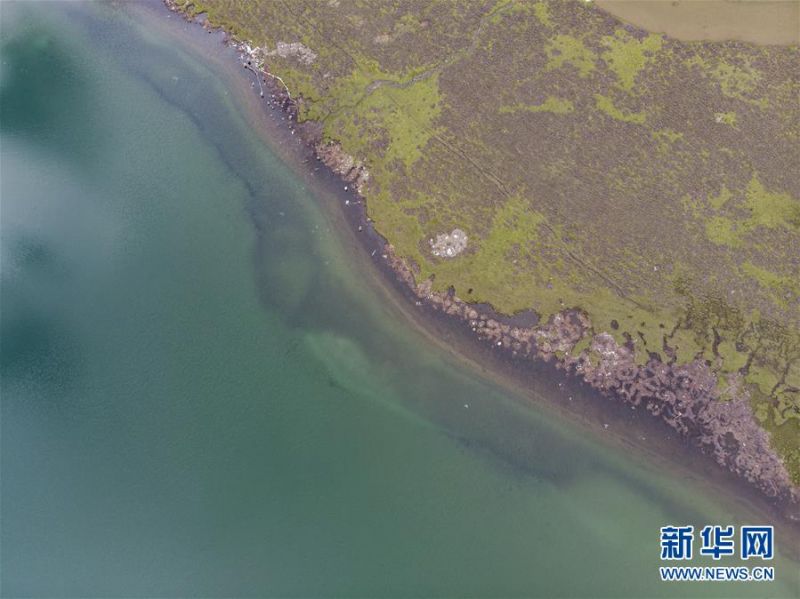 　这是6月26日拍摄的思金拉错（无人机照片）。 思金拉错湖位于西藏拉萨市墨竹工卡县，四周群山高耸，湖面海拔约4500米。每年春夏两季，湖畔山花遍地、绿草如茵，吸引不少游客。 新华社记者孙非摄