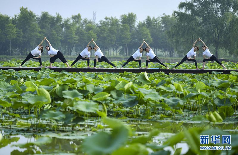 瑜伽爱好者们在运河湿地公园和双龙湖湿地内举行瑜珈展示活动。新华网发（高启民 孔闯 摄）