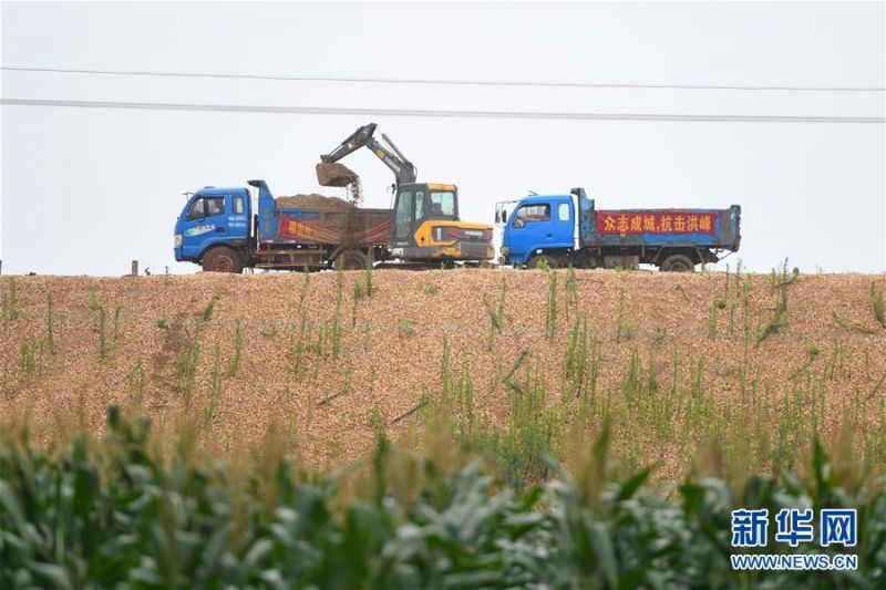 汨罗市白塘镇磊石垸用“以车代仓”的方式储备防汛物资（7月10日摄）。 新华社记者 陈泽国 摄