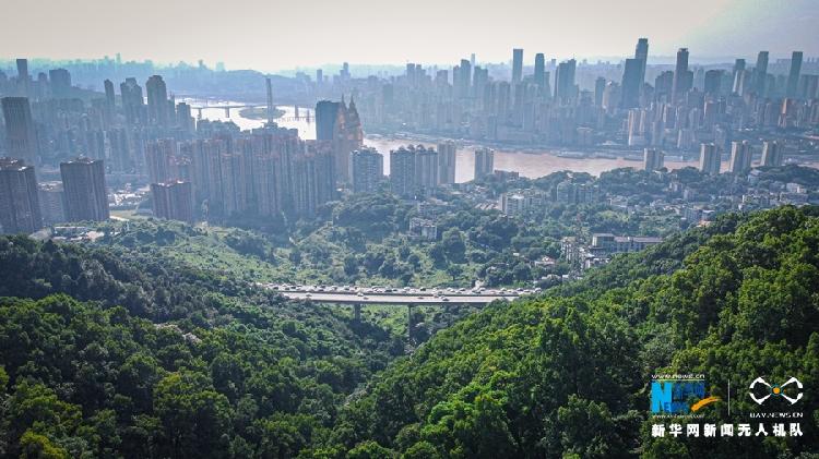 近日，黃桷埡老街新開了一條空中玻璃連廊，橋下是百年古道，橋邊是青翠山林，如畫美景讓人心曠神怡。新華網(wǎng)發(fā)（秦蒸 攝）