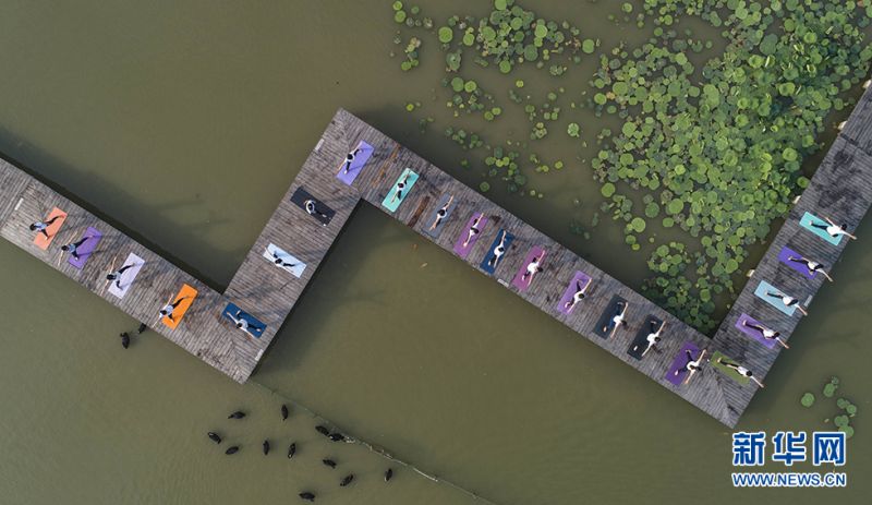 晨光朦胧，清风徐来，莲叶接天，身姿曼妙，当万亩荷塘遇上唯美的健身瑜珈，会是怎样的美景图画？    6月21日是国际瑜伽日。当天清晨，山东台儿庄瑜伽爱好者们在运河湿地公园和双龙湖湿地内举行瑜珈展示活动。景区栈道上，瑜伽美女们一字排开，置身于绿水湿地中，在千百朵盛开的荷花丛中舒展身体，曼妙的身姿、唯美的气质和自然美景相辅相成，构成了一幅人景合一的视觉盛宴。　　据悉，入夏以来，台儿庄运河湿地公园2万亩荷塘荷花渐次开放，争奇斗艳，在碧水中散发出阵阵沁人的清香，引得游客纷至沓来。新华网发（高启民 孔闯 摄）