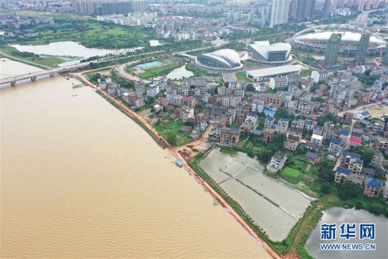 7月11日拍摄的江西省鄱阳县鄱阳镇江家岭村昌江圩堤（无人机照片）。这个村背后就是鄱阳县城。 新华社记者 周密 摄