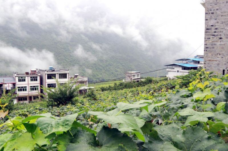 石筍葡萄園（攝影：羅莉）