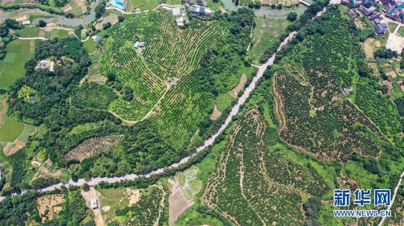 融安县浮石镇东江村的田园景色（7月15日摄，无人机照片）。 夏日时节，广西柳州市融安县阡陌纵横的田园绿意盎然，处处充满生机和活力。 新华社记者张爱林摄