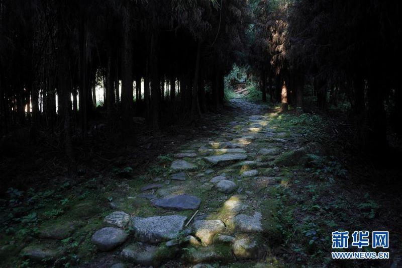 大相岭茶马古道中修复完成的一段（5月25日摄）。