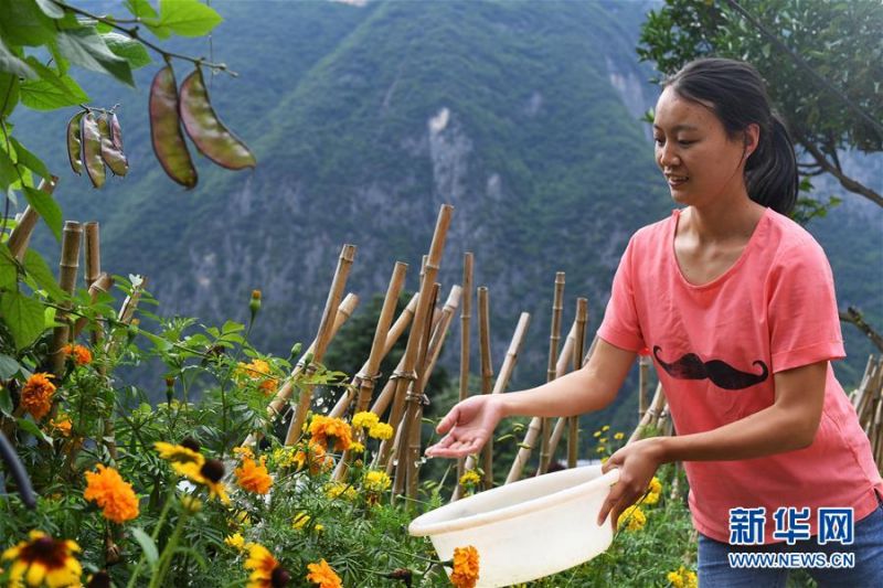 7月3日，26岁的下庄村村民龙云在自家院子里给花浇水。新华社记者 王全超 摄